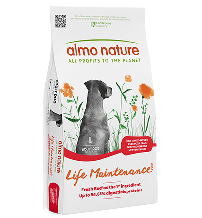 Almo Nature Holistic Maintenance ラム 2kg Almo Nature Holistic Maintenance ラム 2kg 766_1.png